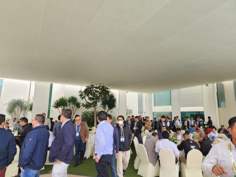 WhatsApp Image 2023-06-26 at 9.56.52 PM (4)